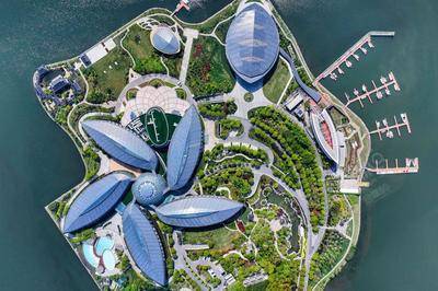 上海滴水湖洲際酒店
